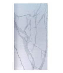 Untitled design (14)